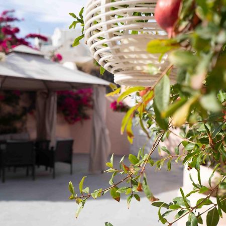 费拉Santorini Oasis- Cave House别墅 外观 照片